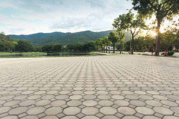 Best Driveway Paver Sealing  in Holly Ridge, NC